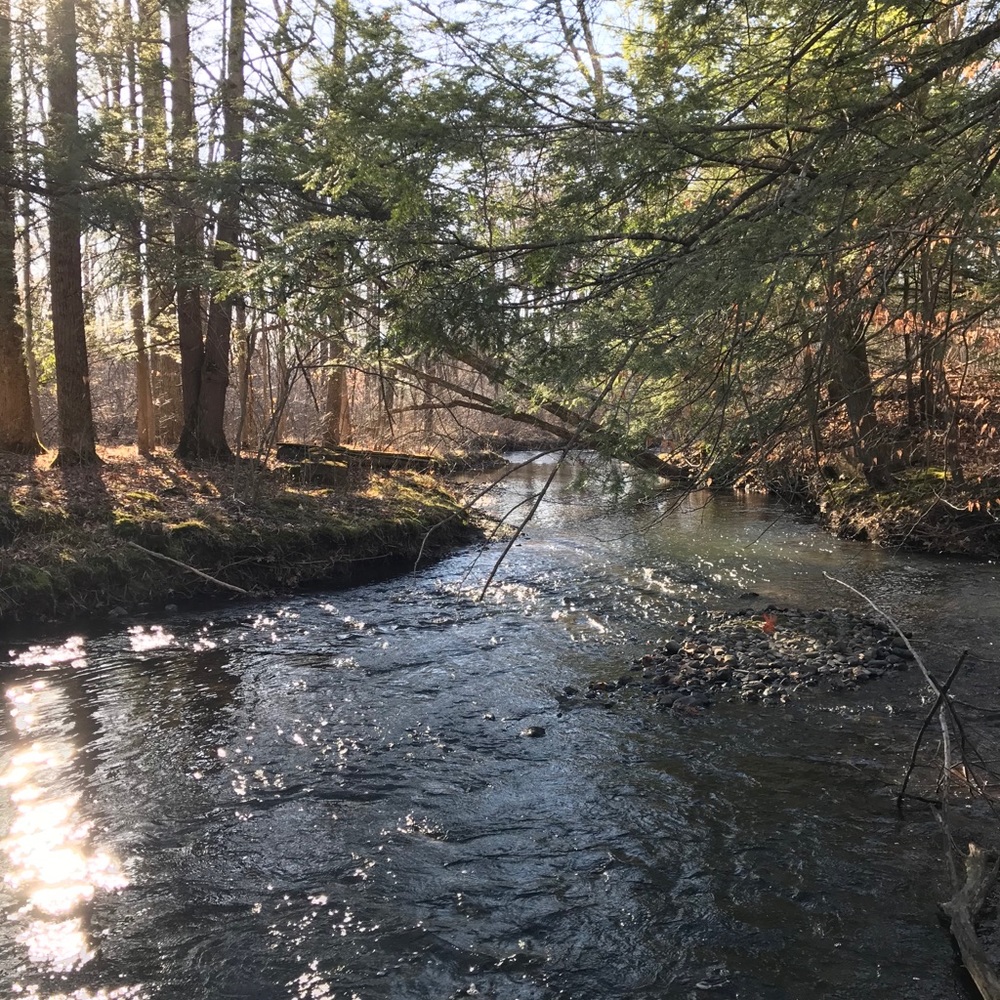 Meet your Posher, Ben